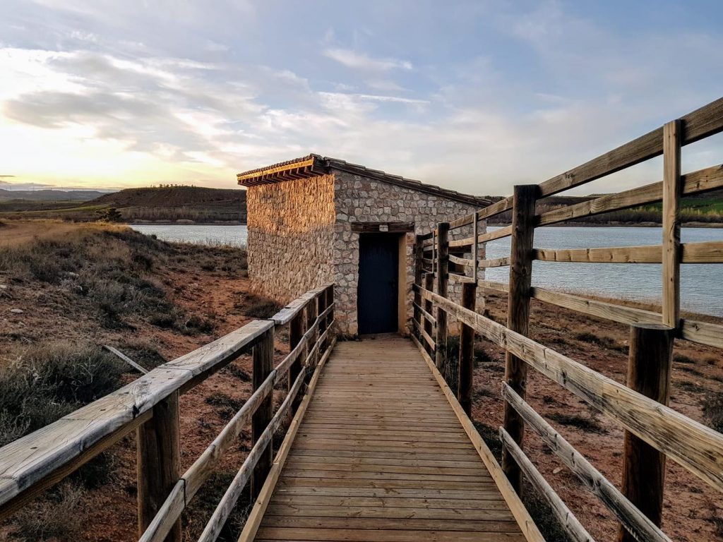 pantano-avistamiento-aves
