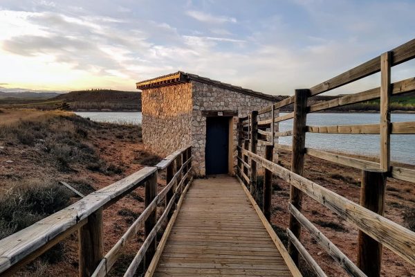 pantano-avistamiento-aves